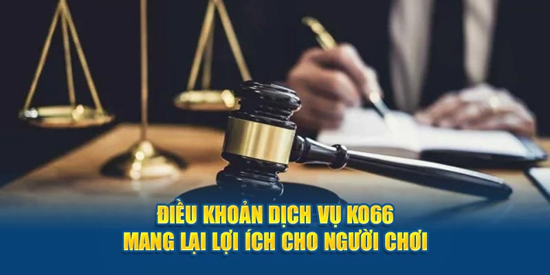 Tổng hợp các điều khoản sử dụng được áp dụng đối với dịch vụ trên trang web